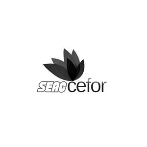 logo partner EBTT_seaccefor