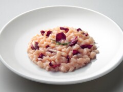 12 ore DIMARO FOLGARIDA